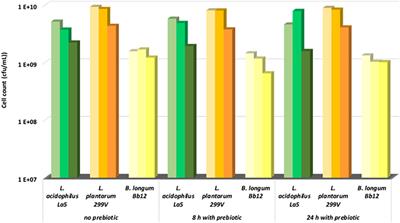 Probiotic Beverage From Pineapple Juice Fermented With Lactobacillus and Bifidobacterium Strains